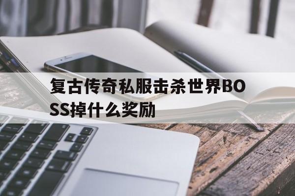 关于复古传奇私服击杀世界BOSS掉什么奖励的信息